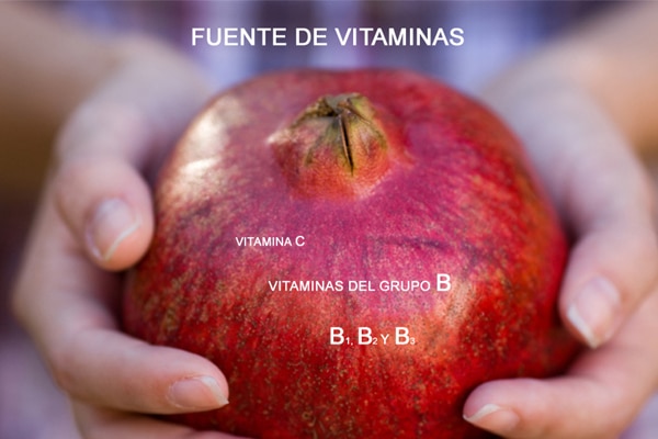 VITAMINAS 600 X 400 copia VITAMINAS 600 X 400 copia