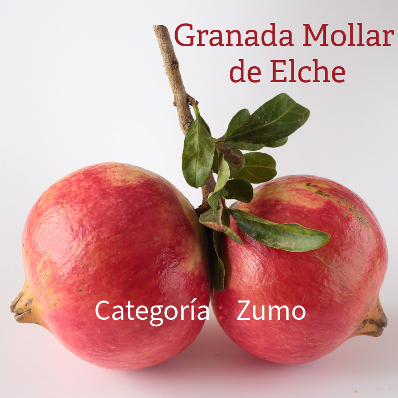 Zumo de granada Granavida elaborado con Granada Mollar de Elche